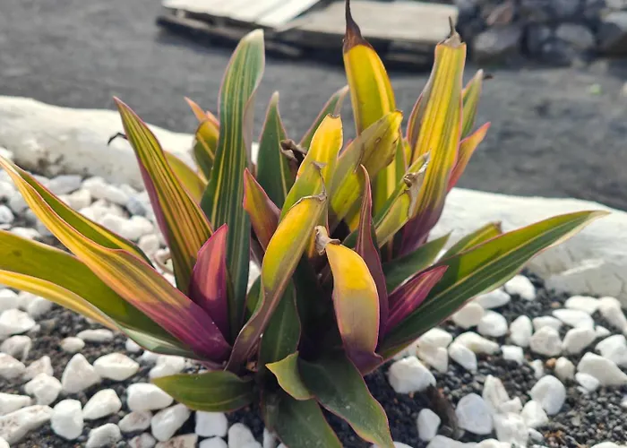 شقة Casitas Masdache *