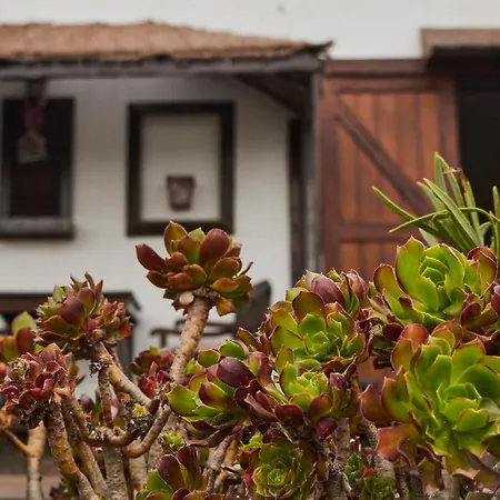 Casitas Masdache アパート