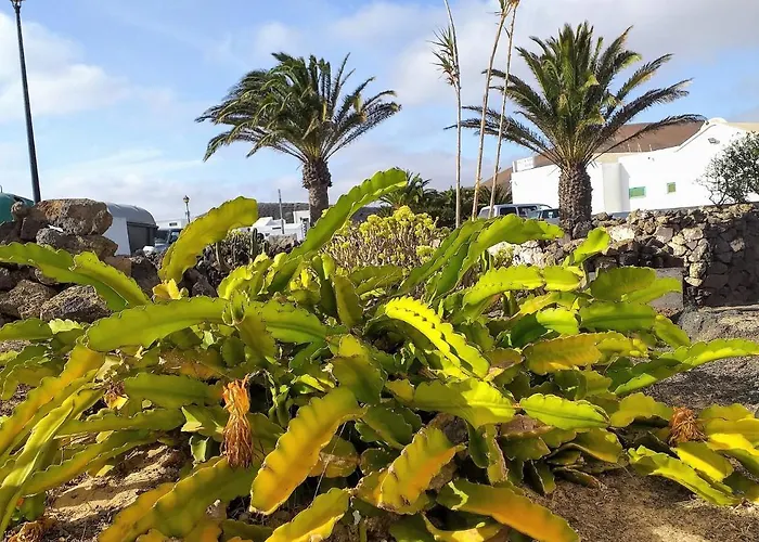 Casitas Masdache Tías